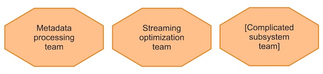 Complicated Subsystem Teams